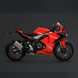 MOTORCYCLES-300RR