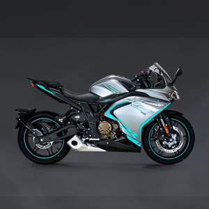 MOTORCYCLES-300RR