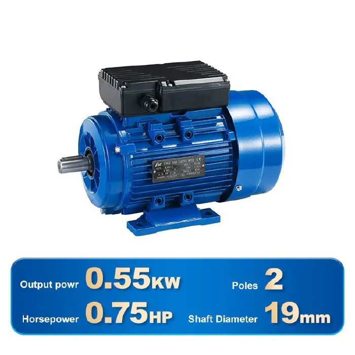 SINGLE PHASE INDUCTION MOTOR-YL801-2