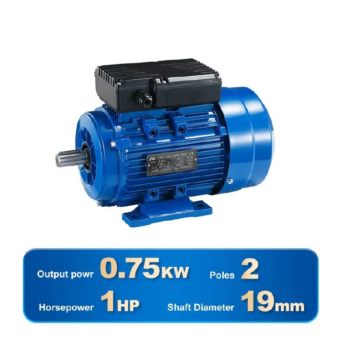 SINGLE PHASE INDUCTION MOTOR-YL802-2