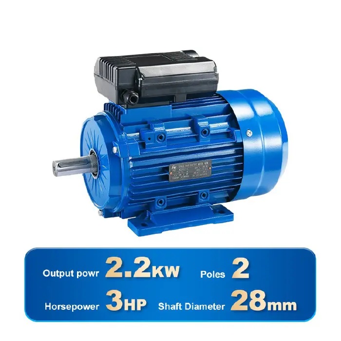 SINGLE PHASE INDUCTION MOTOR-YL100L-2