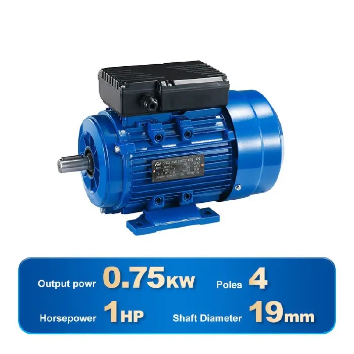 SINGLE PHASE INDUCTION MOTOR-YL802-4