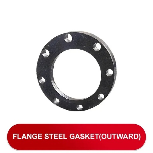 [PF0199] STEEL GASKET