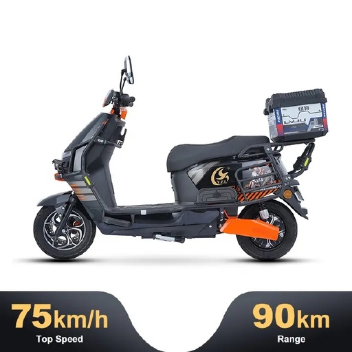 [LVM002] ELECTRIC MOTORCYCLES-DT-1500W