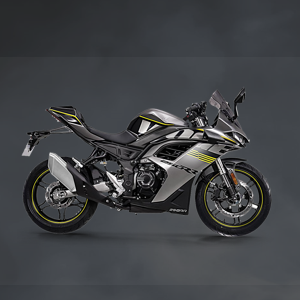 [LXM021] MOTORCYCLES-300RR
