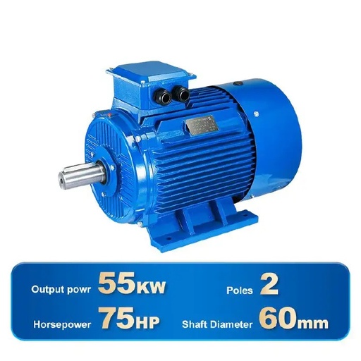 [4540] THREE PHASE INDUCTION MOTOR-Y2-250M-2